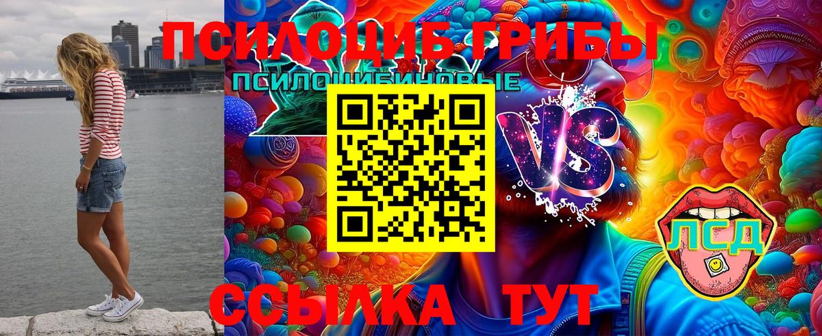 Псилоцибиновые грибы Magic Shrooms  Вход с VPN  Миллерово 